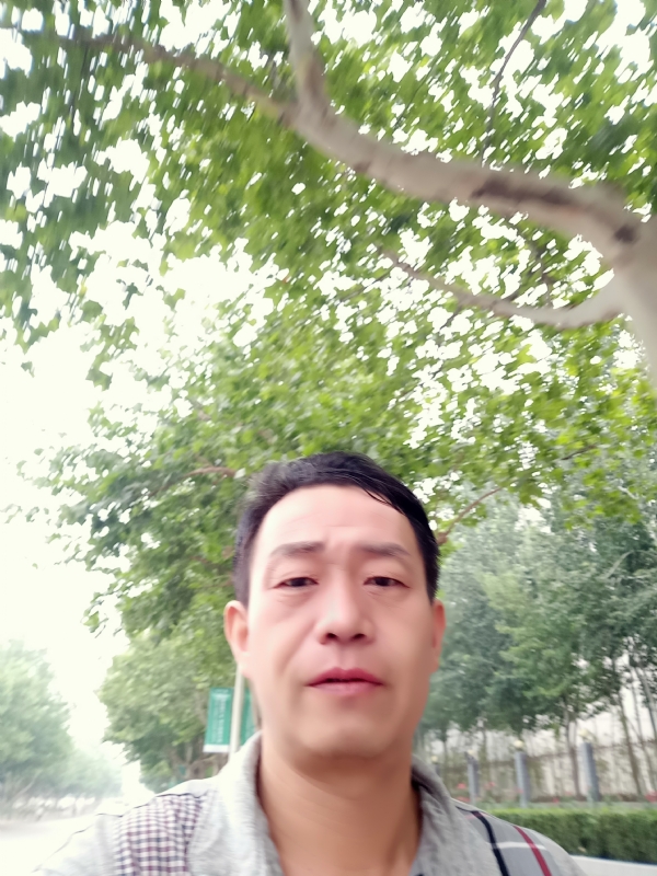 阳光的第一张照片--上门女婿服务网