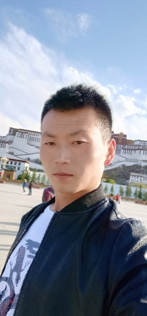 阳光下的小草的第二张照片--上门女婿服务网