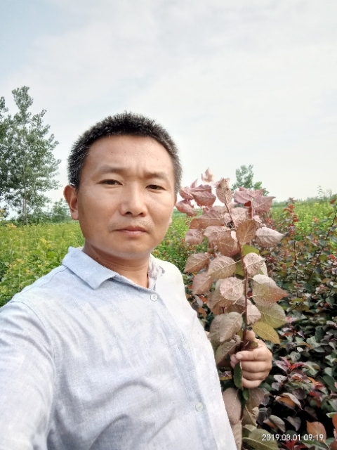 孩子爸的第二张照片--上门女婿服务网
