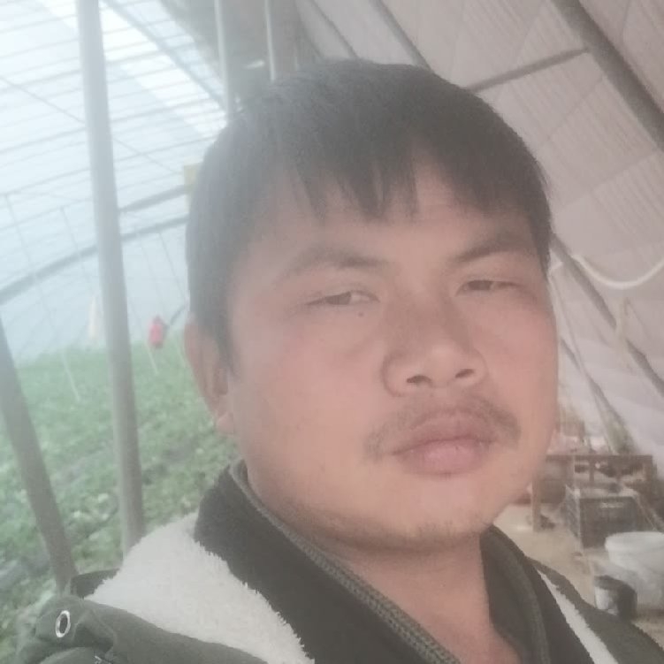 孤狼‘的第一张照片--上门女婿服务网