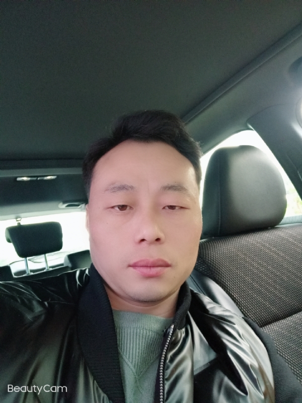 放飞的羊的第二张照片--上门女婿服务网