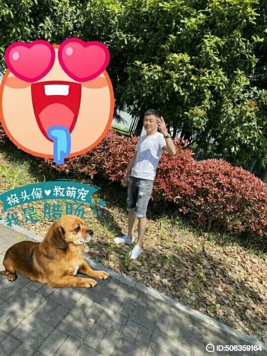 我若不坚强谁替我勇敢的第一张照片--上门女婿服务网