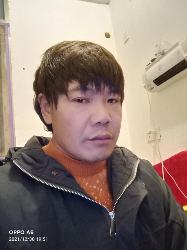 小鸟找窝的第一张照片--上门女婿服务网